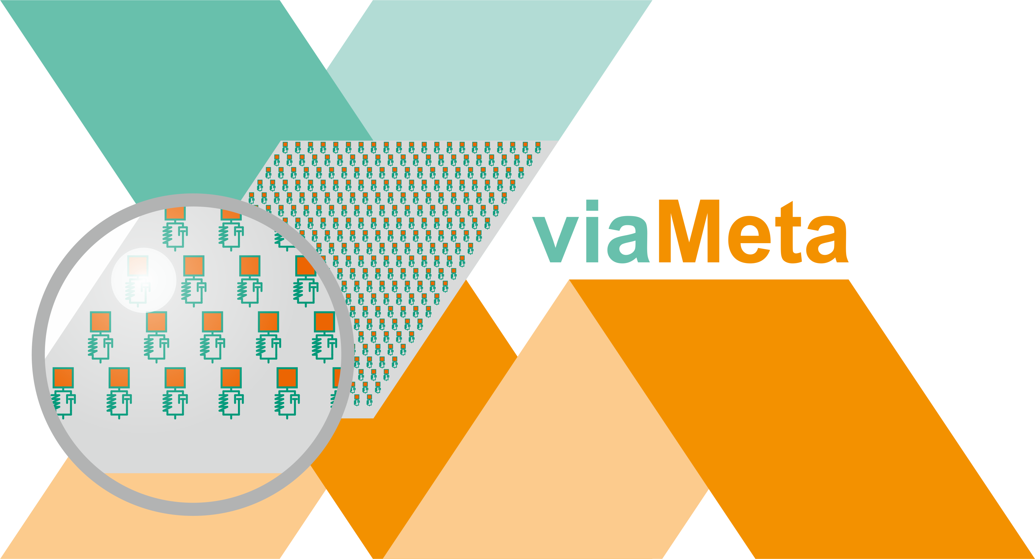 viaMeta-Logo